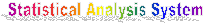 Statistical Analysis System